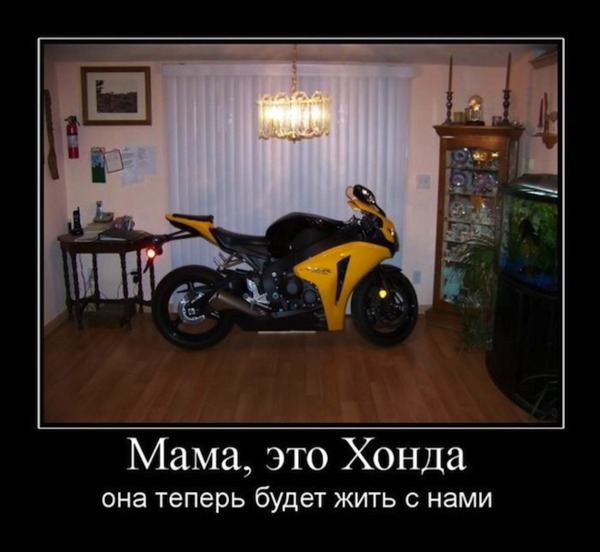 ����� ��� ������� ultimatebb 2013