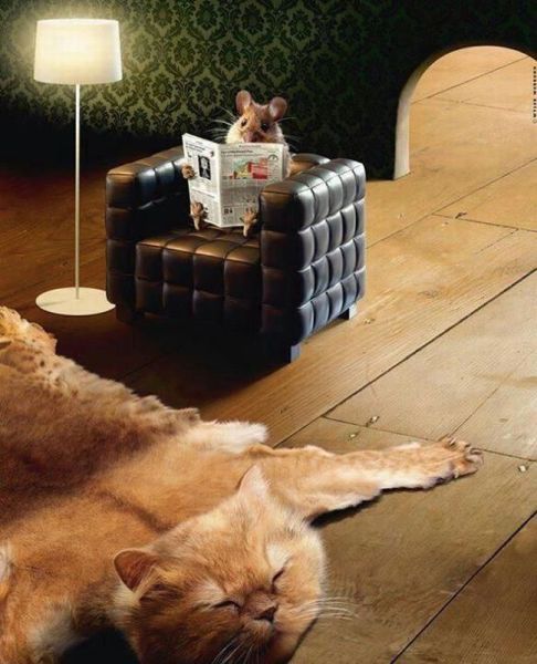 Картинки по запросу хорошо смеется тот кто смеется последним