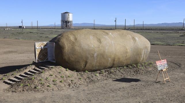 Среди американцев разыграют проживание в гигантской картошке
